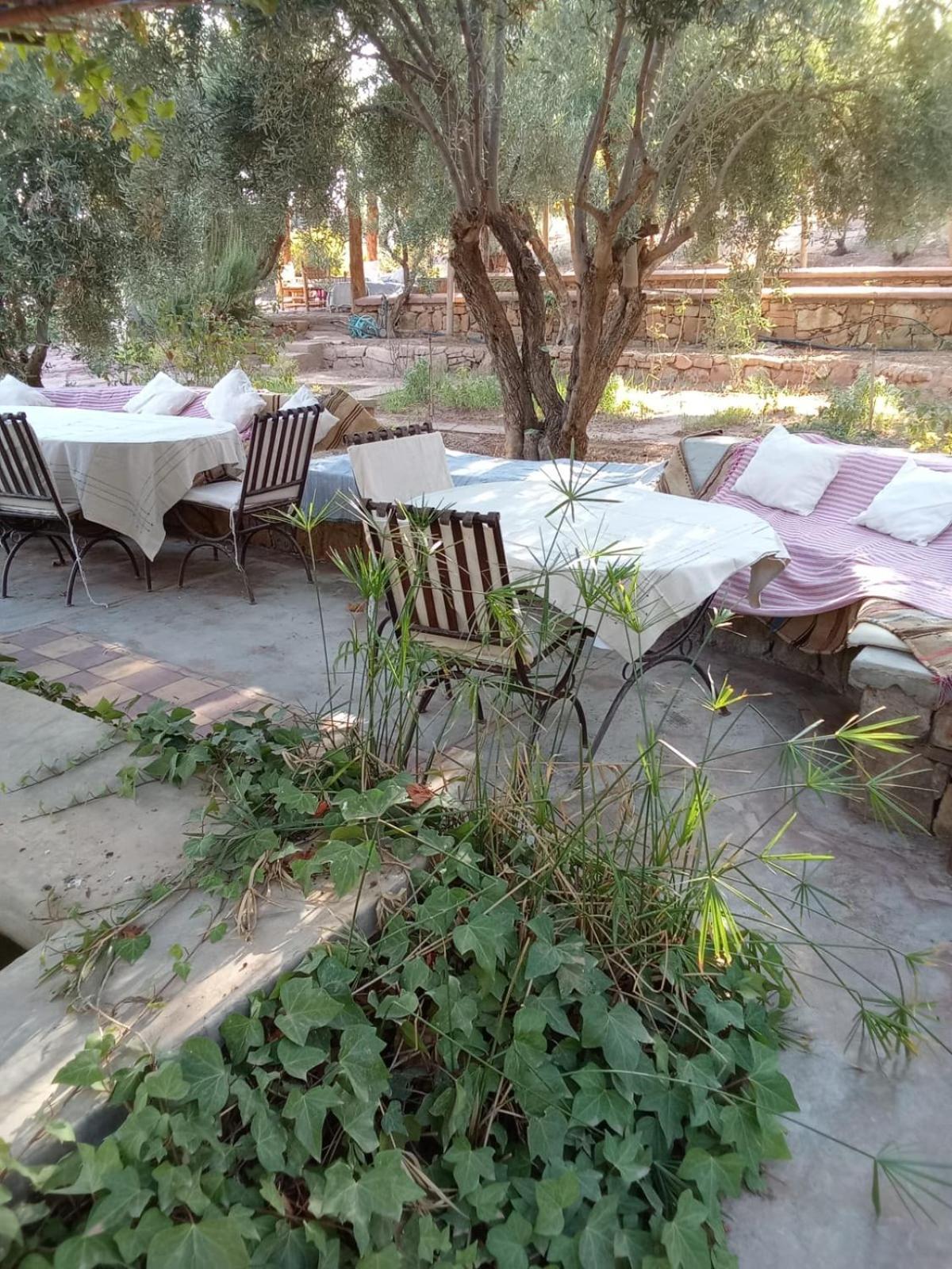 Kasbah Timdaf Otel Demnat Dış mekan fotoğraf