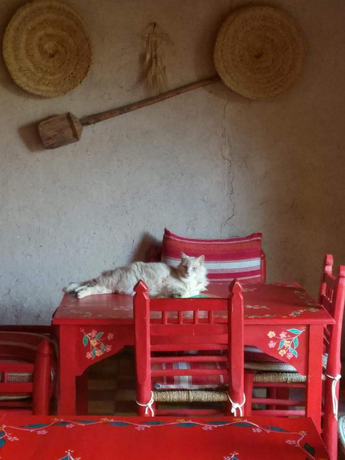 Kasbah Timdaf Otel Demnat Dış mekan fotoğraf